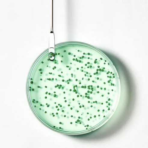 건강한 두피, 아름다운 모발의 시작