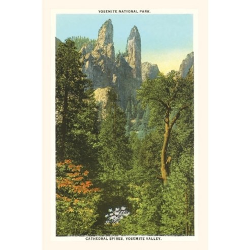 (영문도서) The Vintage Journal Cathedral Spires Yosemite California pocket jour Paperback, Found Image Press, English, 9781648115233