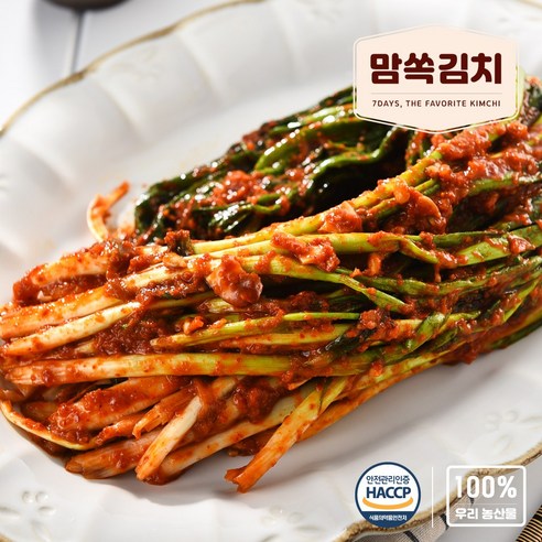 맘쏙김치 매콤한 파김치, 1개, 2kg