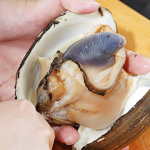 거제 자연산 개조개 대합조개 찜 구이, 1개, 거제도 자연산 개조개1kg 5-8미
