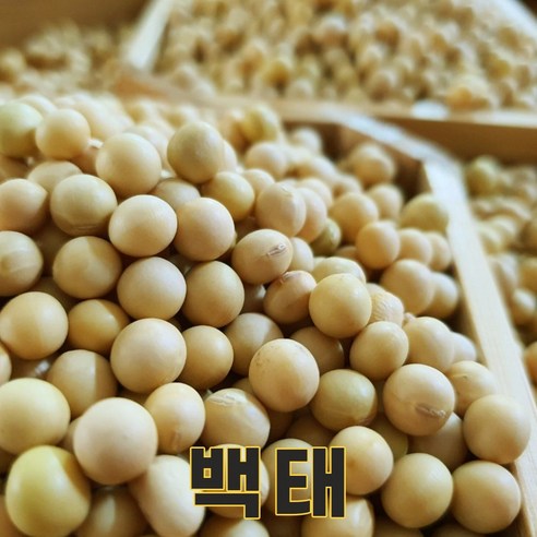 밥보야 23년산 국산 메주콩 1kg 백태콩 두부콩 흰콩 두유콩 콩국수콩, 1개