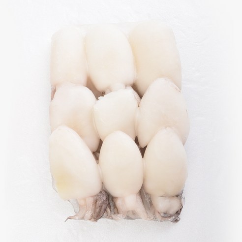갑오징어, 1개, 700~1000g (10마리전후) 9kg 12 푸드마을 냉동 갑오징어 베이비 9미 12미, 1개, 갑오징어 20/40(9미) 200g