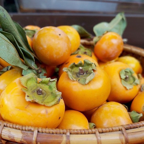 달콤한 가을의 선물