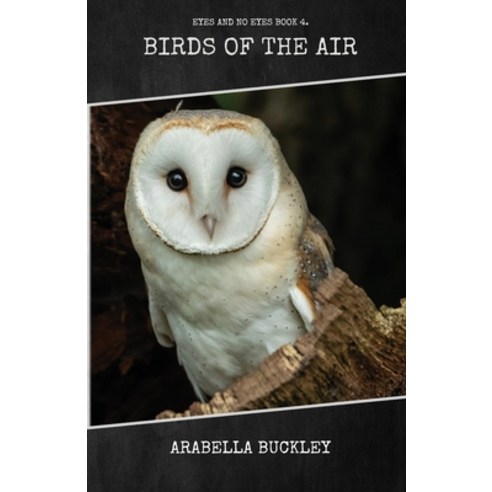 (영문도서) Birds of the Air Paperback, Living Book Press, English, 9781922619938
