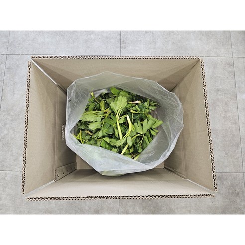 금오도의 햇살과 해풍을 담은 건강한 방풍나물