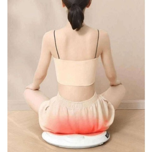좌훈기 근적외선 디지털 좌욕방석 쑥좌훈기 치질 좌욕, 표준 2대 좌구뜸쑥 20장입