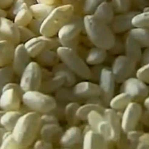 국내산 쌀알누룩(입국)/누룩소금 쌀요거트 제조용/무료배송, 1개, 500g