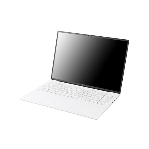 LG전자 그램16 16ZD90R-EX59K 노트북