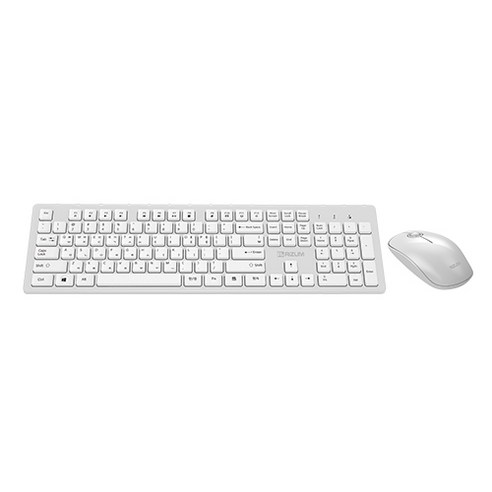 RIZUM RWS-101 무선 키보드 마우스 세트 (실버) 키보드+마우스세트-무선 키보드+마우스세트, RWS-101 실버