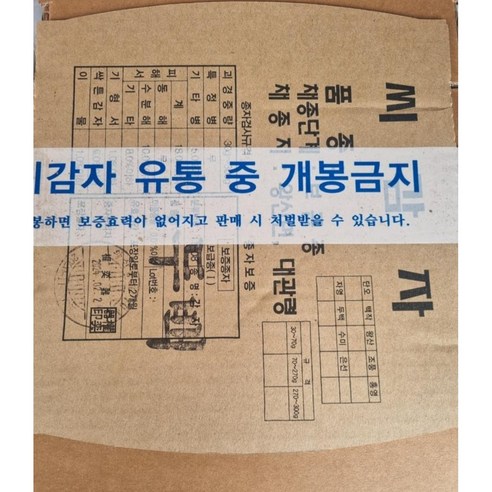 풍요로운 텃밭의 시작, 강원도 수미감자 씨감자로! 씨감자