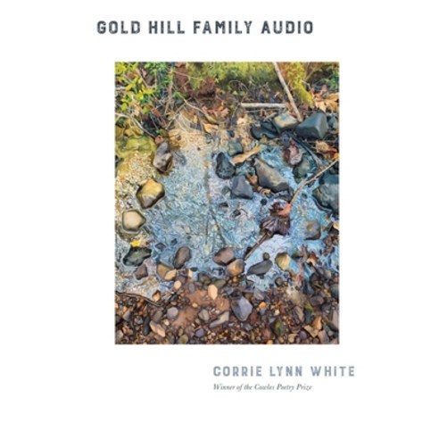 (영문도서) Gold Hill Family Audio Paperback, Southeast Missouri State Un..., English, 9781733015387
