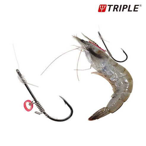 트리플 새우 채비로 농어, 광어 '싹쓸이'!