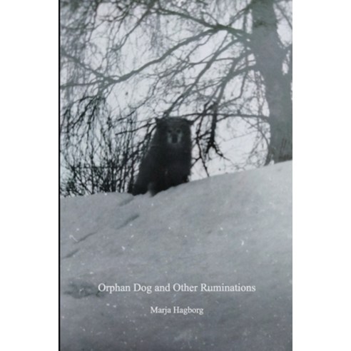 (영문도서) Chiron Review #131 Fall 2023: Orphan Dog and Other Ruminations Paperback, Lulu.com, English, 9781312134706