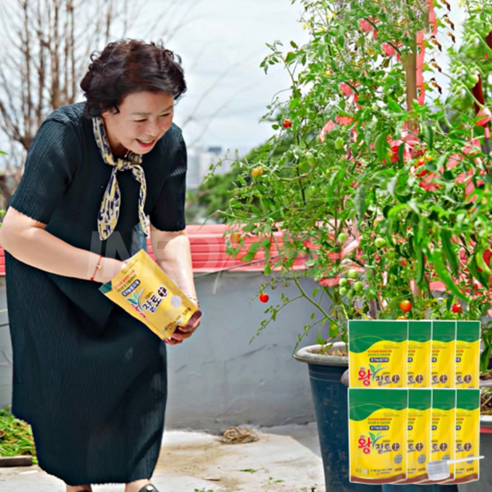 시들시들 힘없는 우리 집 식물, 김일호 왕잘토 영양제로 싱싱하게 되살리는 비법! 왕잘토