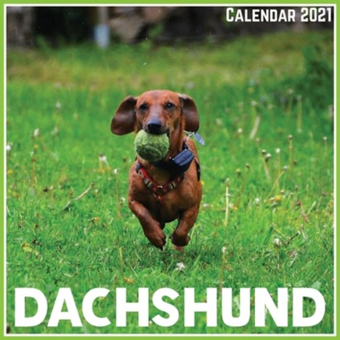 Dachshund Calendar 2021: Official Dachshund Calendar 2021 12 Months Paperback, Independently Published, English, 9798727173046
