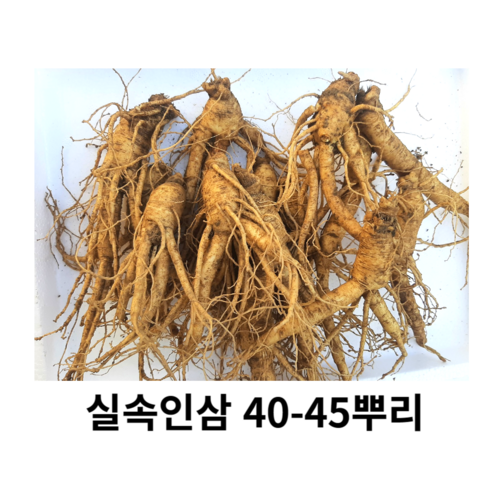 못난이 파삼 세척못난이40-50뿌리 금산인삼 수삼 파삼 700g 가정용 + 못난이대추 20g, 700g 40-50뿌리세척 (0)+ 못난이대추 20g, 1개