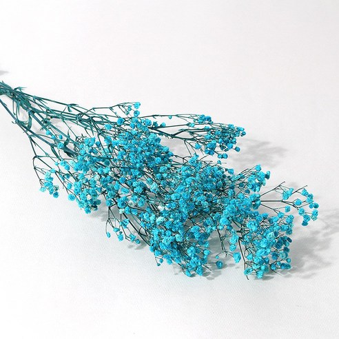 화연양화 프리저브드 안개꽃 한단 꽃다발 디퓨저스틱 드라이플라워 04 블루