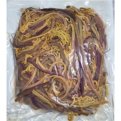 영양 가득한 고사리의 맛있는 만남