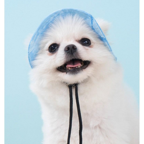 Warmth 귀여운 고양이 강아지 귀달이 조절 버클 버킷햇 모자 펫 모자 고양이 강아지 캡 모자 썬캡 자외선 차단 모자 여름 외출, 1개, Blue