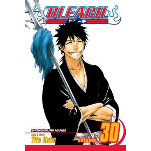 (영문도서) Bleach Vol. 30 Paperback, Viz Media, English, 9781421523880