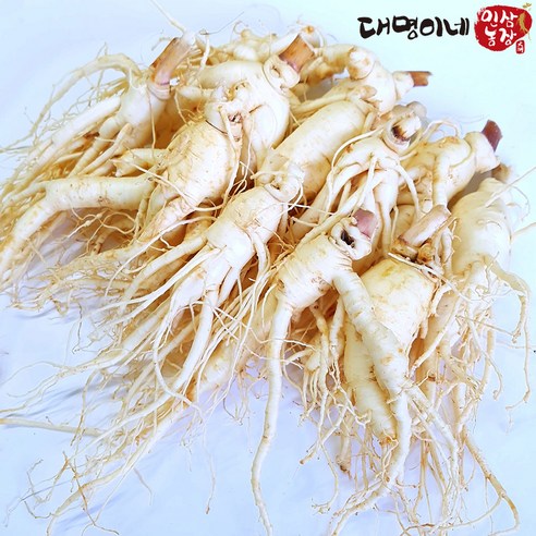 금산인삼 5년근 6년근 세척 무세척 수삼 가정용, (세척)난발 12~15뿌리-750g, 1개