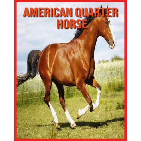 American Quarter Horse: Beautiful Pictures & Interesting Facts Children Book About American Quarter ... Paperback, Independently Published, English, 9798706544201
