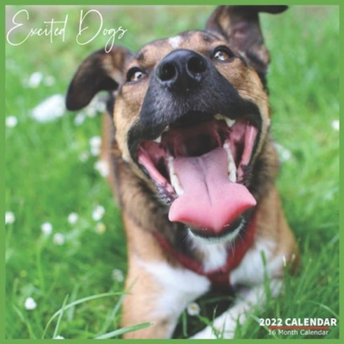 (영문도서) Excited Dogs Calendar 2022: Official Happy Dogs Calendar 2022 16 Month Calendar 2022 Paperback, Independently Published, English, 9798517968753