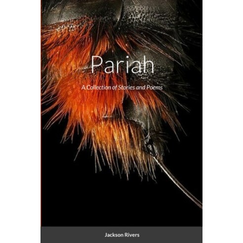 (영문도서) Pariah: A Collection of Stories and Poems Paperback, Lulu.com, English, 9781312889446