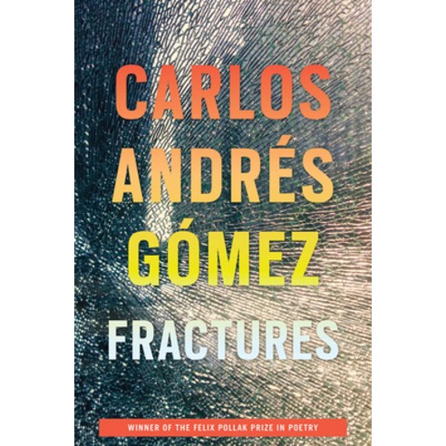 Fractures Paperback, University of Wisconsin Press, English, 9780299329945