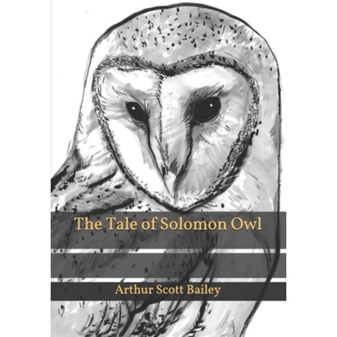 The Tale of Solomon Owl Paperback, Independently Published, English, 9798595581059