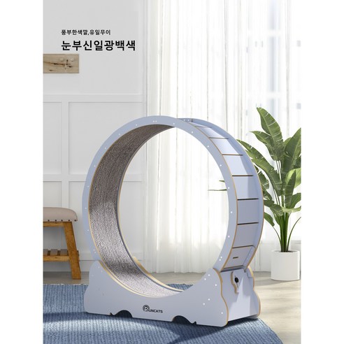 런캣 캣휠 무소음 성능