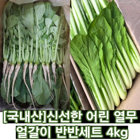 [국내산] 포천 신선한 어린 열무 얼갈이 반반세트 2kg 2kg매일 새벽마다 수확한 산지의 싱싱함 기본손질 좋은 종자를 사용 밥반찬 초록, 어린 열무 3kg /얼갈이 1kg, 1개, 4kg