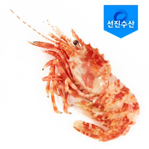[잇팅나우ㅣ인기상품] 진정한 미식가를 위한 진품: 자연산 특 A급 닭새우 [EatingNOWㅣ추천상품]