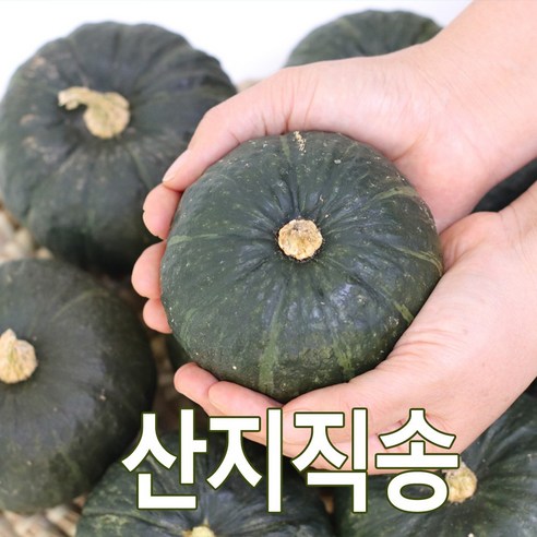 햇 미니 단호박 2kg 3kg 국내산 밤맛나는 미니 단호박 산지직송, 1개, 2kg(4~8개) 밤호박