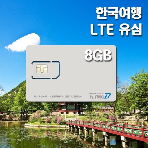 데이터 추천상품 한국여행유심 SKT / KT통신망 30일 데이터전용 소개