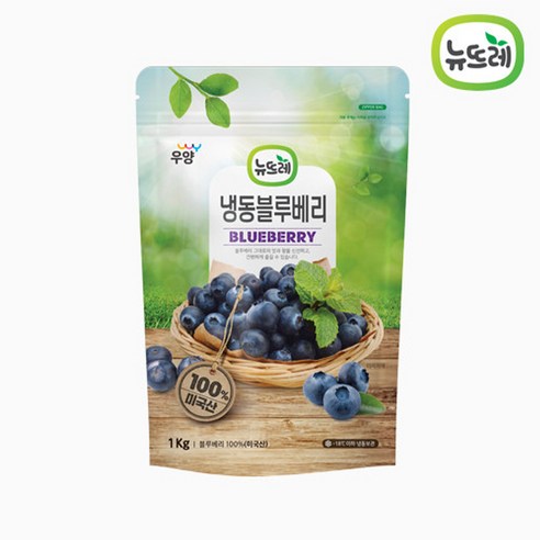 뉴뜨레 냉동망고 베트남 페루산 아이스 애플망고 1kg, 뉴뜨레 냉동그린키위홀 1kg 뉴질랜드산, 1개