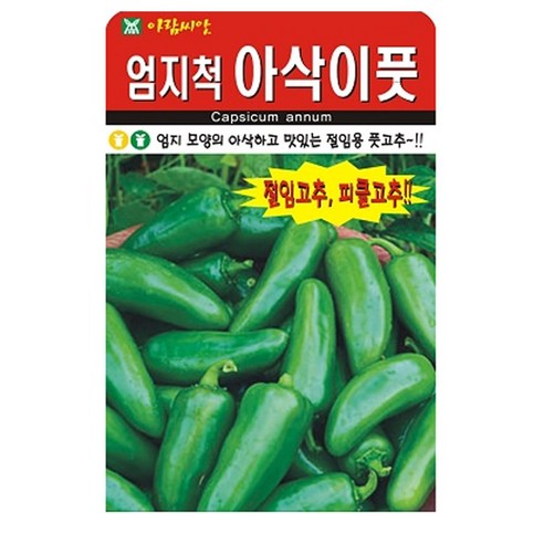 엄지척 아삭이 풋고추 씨앗 고추씨 종자, 2개