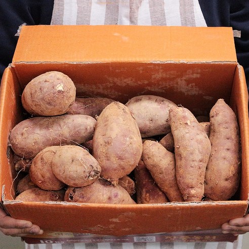 고구마직거래 고구마 꿀고구마 3kg 5kg, 꿀고구마 상품 5kg, 1개