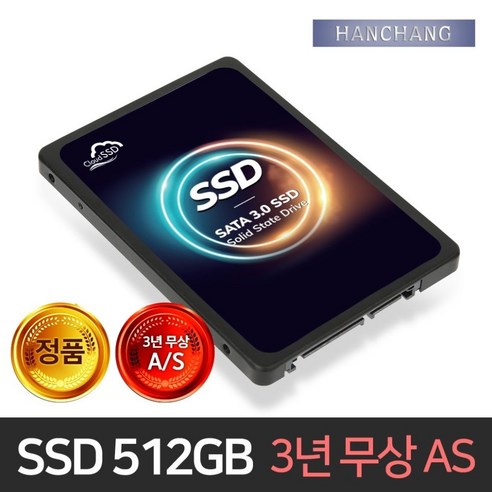 한창코퍼레이션 CLOUD SSD, 512GB