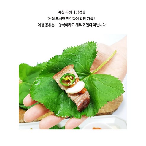 봄의 전령사, 싱싱하고 깨끗한 고산지대 곰취나물을 만나보세요!