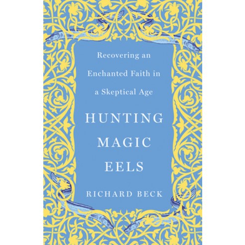(영문도서) Hunting Magic Eels: Recovering an Enchanted Faith in a Skeptical Age Paperback, Broadleaf Books, English, 9781506487670