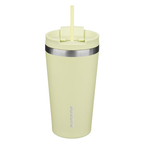 BJPKPK 누수 방지 스테인리스 스틸 보온병 빨대 포함, 1개, 마카롱 그린, 530ml