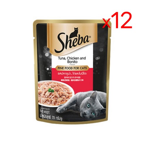 cat 고양이 주식 파우치 습식 사료 길냥이 간식 영양식, 70g, 12개