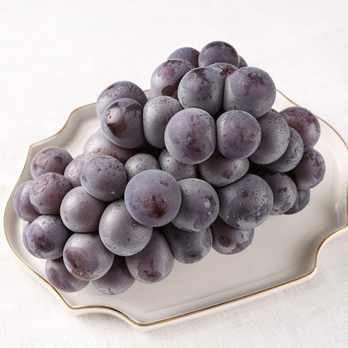 김천 경산 하우스 고당도 거봉 1kg(2수) 1개 거봉포도 김천 경산 하우스 고당도 거봉 1kg(2수) 1개 거봉포도