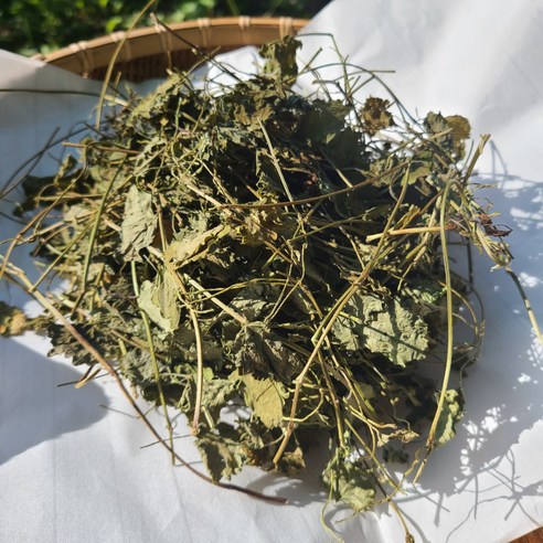 지리산 산청 약초 말린 건조 금전초 차 200g 국내산 병꽃풀 연전초 긴병풀꽃, 1개