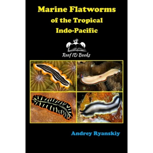 (영문도서) Marine Flatworms of the Tropical Indo-Pacific Paperback, Andrey Ryanskiy, English, 9785604204979