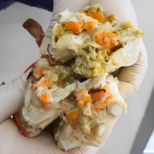 연평도 앞바다의 프리미엄 활 암꽃게