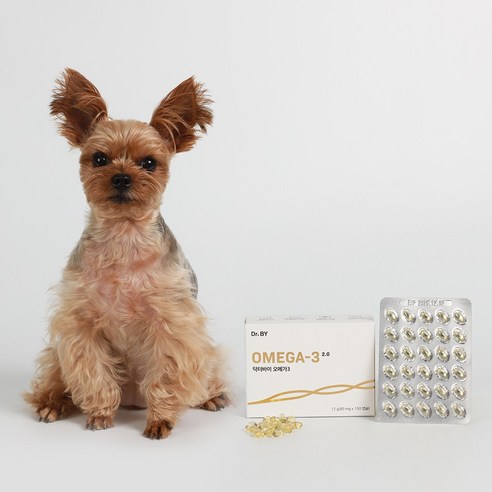 강아지의 건강을 책임지는 오메가3 영양제