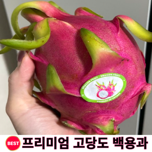 수입산 고품질 프리미엄 고당도 백용과 흰용과 2.5kg(4-5과) 5kg(8-10과) 열대과일 흰용과 dragon fruit 안전포장 항공직송 과일용과 베트남용과 용과과일 가정용, 5kg, 1개