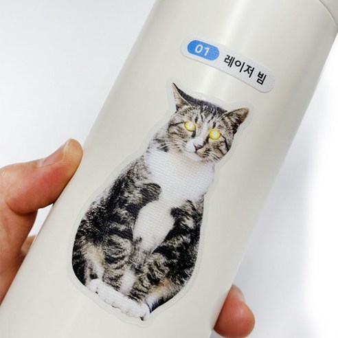 나만의 특별한 반려동물 스티커